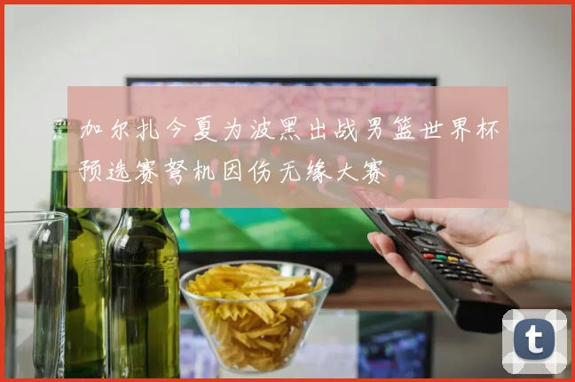 加尔扎今夏为波黑出战男篮世界杯预选赛弩机因伤无缘大赛